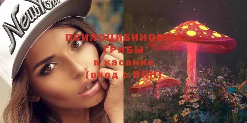 Псилоцибиновые грибы Magic Shrooms  Вяземский 